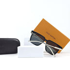 LUIS VUITTON SUNGLASS